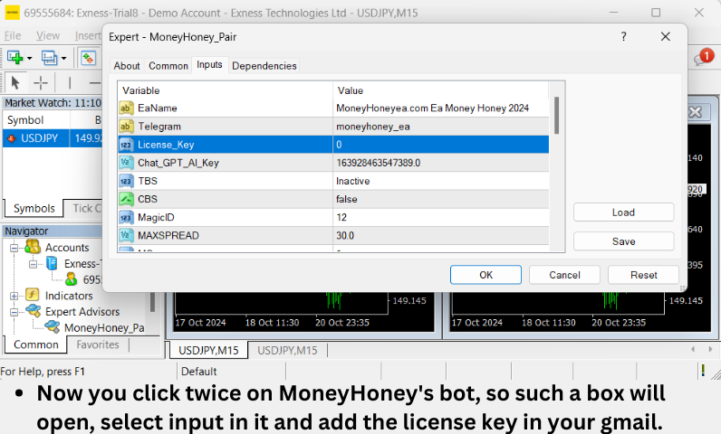 Money Honey Demo 201