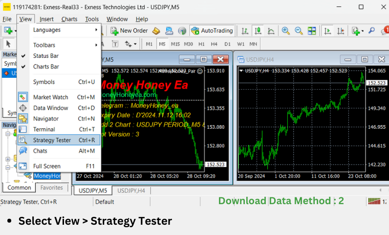 Money Honey Demo 201