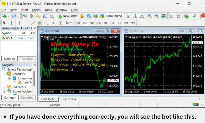 Money Honey Demo 201